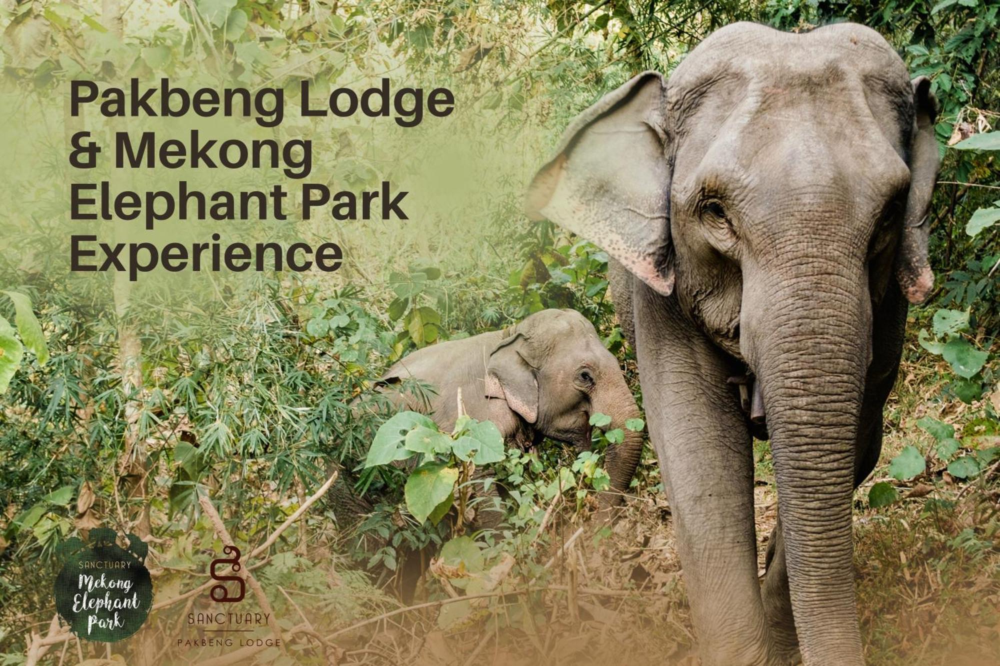 The Sanctuary Pakbeng Lodge Экстерьер фото