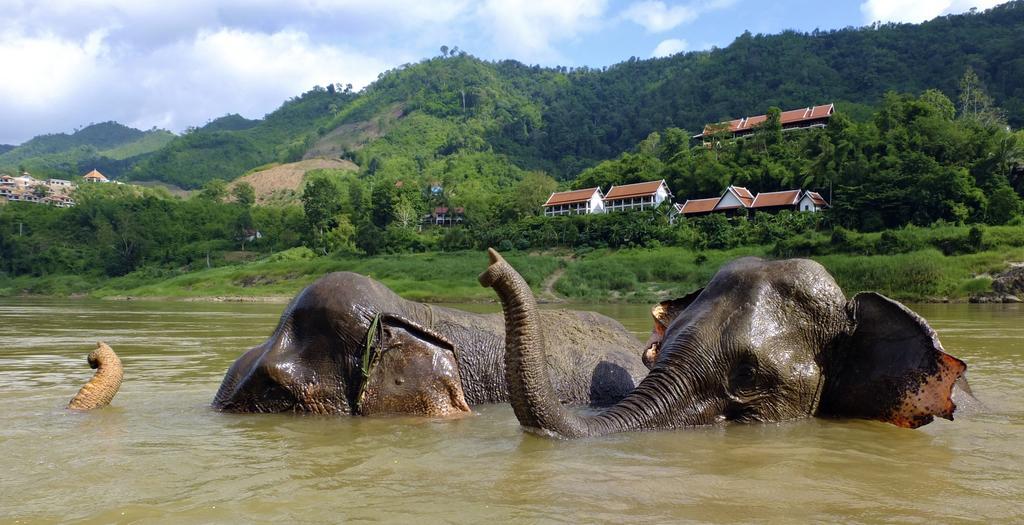 The Sanctuary Pakbeng Lodge Экстерьер фото
